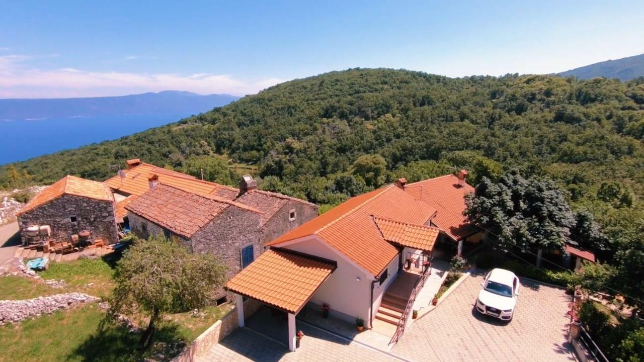 Apartament Podini
